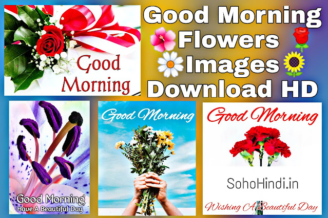 Good Morning Images with Flowers