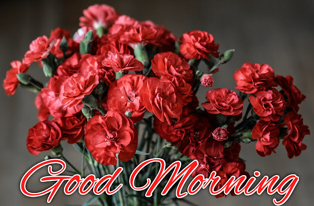 good morning images with flowers