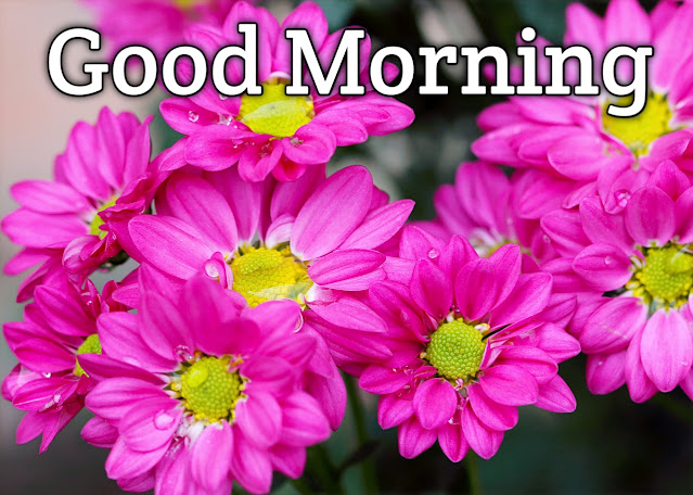 good morning images with flowers