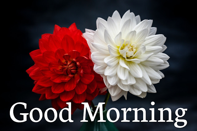 good morning images with flowers