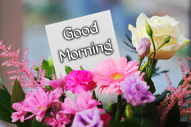 good morning images with flowers