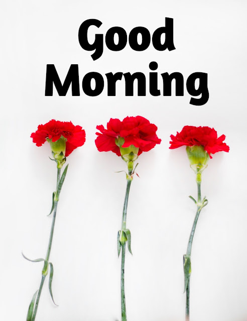 good morning images with flowers