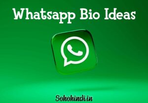 whatsapp bio