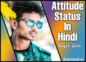 Attitude Status In Hindi